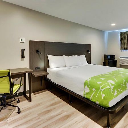 The Shamrock Hotel ชิเซโร ภายนอก รูปภาพ
