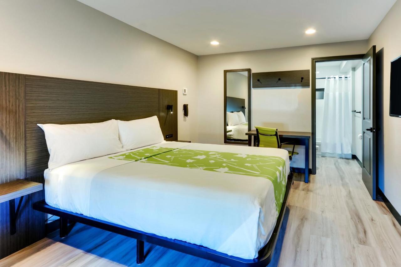 The Shamrock Hotel ชิเซโร ภายนอก รูปภาพ