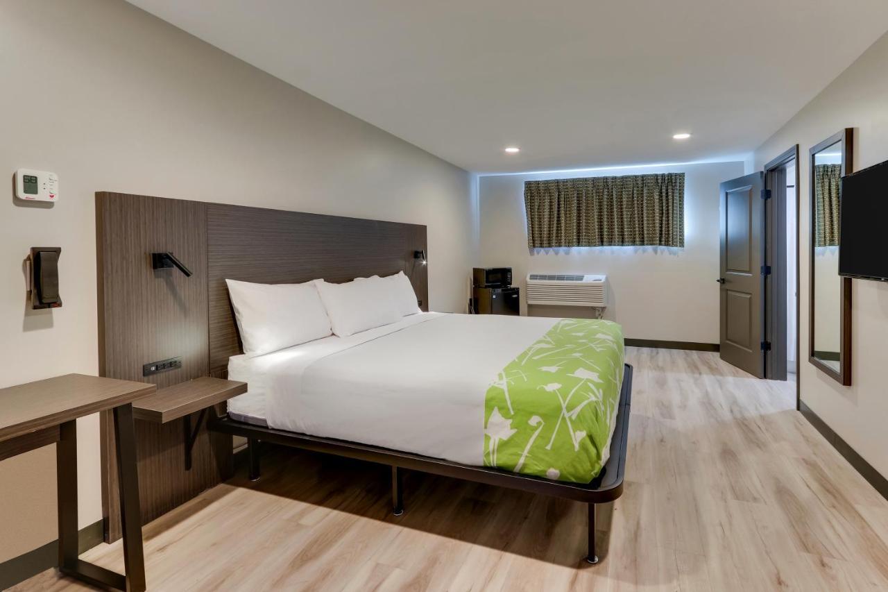 The Shamrock Hotel ชิเซโร ภายนอก รูปภาพ